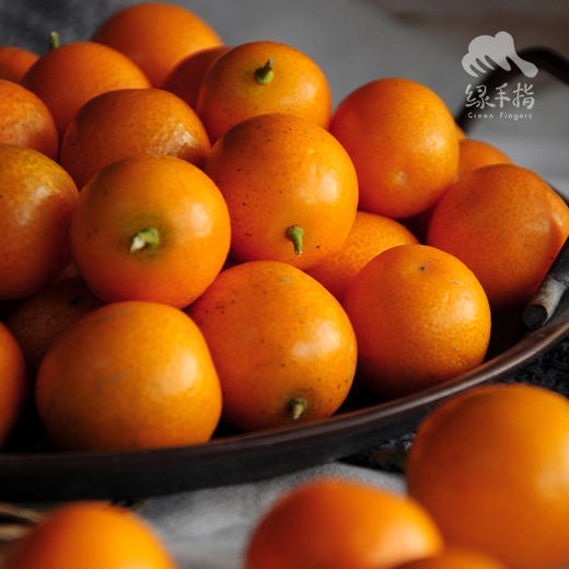 生态金桔（申通快递，春节正常发货） | 合作生产*Eco-Kimquat | Partner Production 商品图2