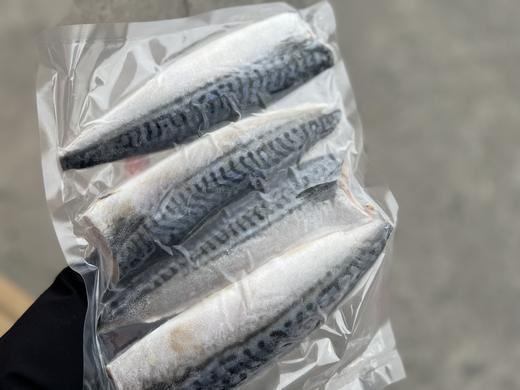 青花鱼 商品图0