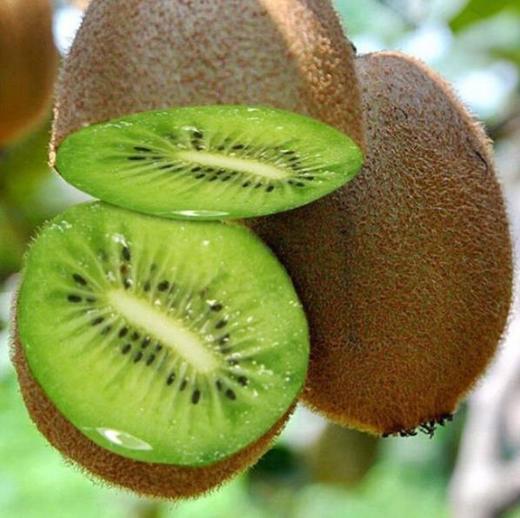 2026果寻梦猕猴桃礼盒20枚 商品图3