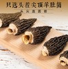 【十堰天福绿色食品】十堰特产 山利来羊肚菌礼盒装  120g/盒 商品缩略图4