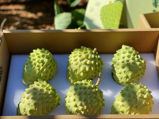 【凤梨释迦果】 甜甜甜 纯甜 冰淇淋风味 果肉细腻/ 顺丰包邮 商品图7