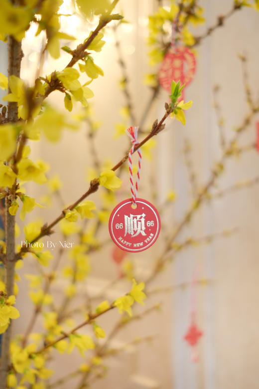 年宵花*荷兰特级寸寸金【150cm】 商品图2