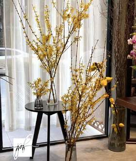 【清库存】-进口寸寸金  约10枝/扎  多规格