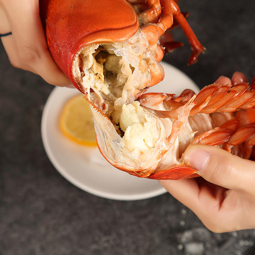 波士顿龙虾800-1000g【LY】 商品图2