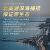 波士顿龙虾800-1000g【LY】 商品缩略图6