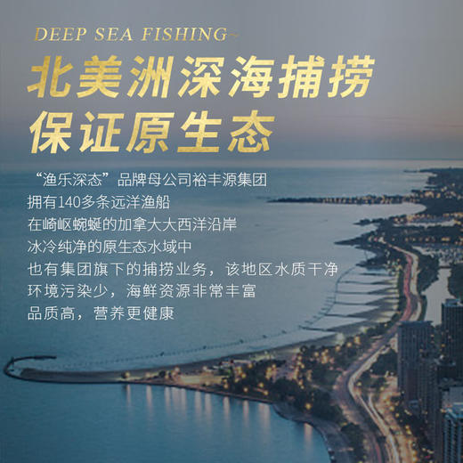 波士顿龙虾800-1000g【LY】 商品图6