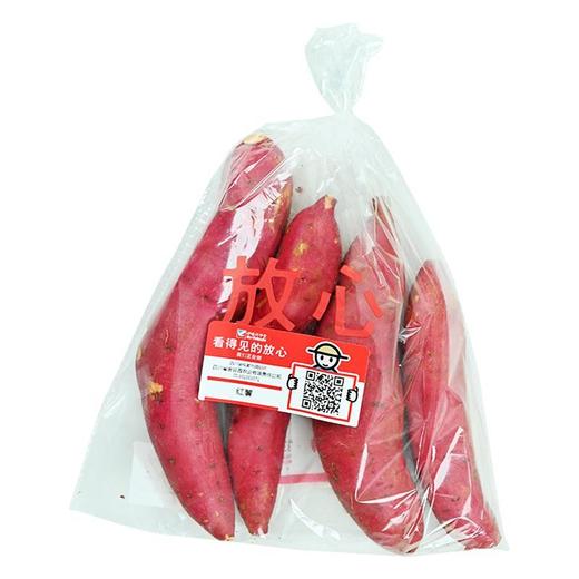 看的见的放心红薯 约500g/袋 商品图4