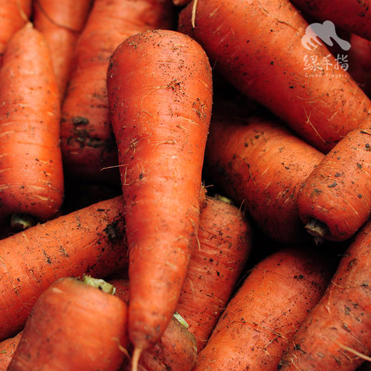 生态彩色胡萝卜（包邮） | Ecological carrot | Self-production 商品图2