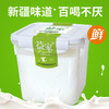 新疆天润酸奶原味桶装4斤/桶*2桶【顺丰/邮政随机发】 商品缩略图0