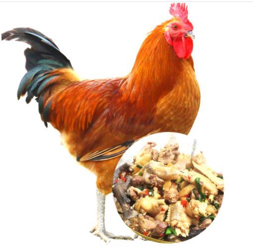 【2件立减10元】郧阳青山散养土公鸡杀完净重3.5斤左右 （半年以上）周五发货，需提前预定 商品图0