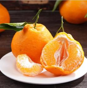 新鲜水果 果寻梦耙耙柑小件  1件/净重4斤左右