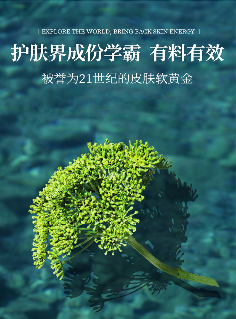 【明星产品】安茹海茴香原生精华液