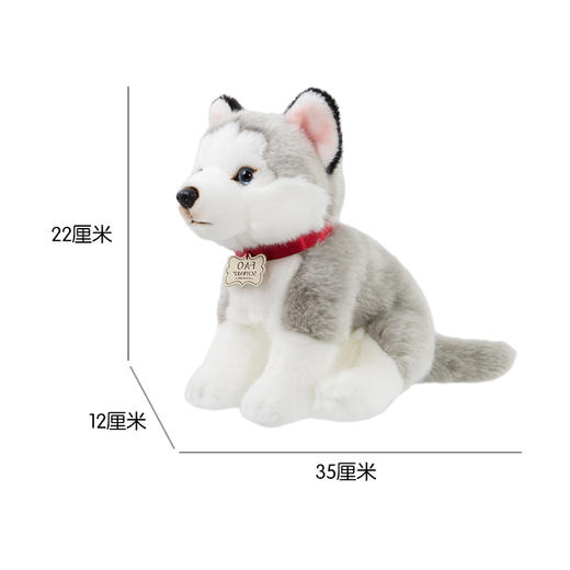 F.A.O.  毛绒哈士奇犬 10英寸  TSFC6000290玩偶 商品图0