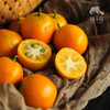 生态金桔（申通快递，春节正常发货） | 合作生产*Eco-Kimquat | Partner Production 商品缩略图3