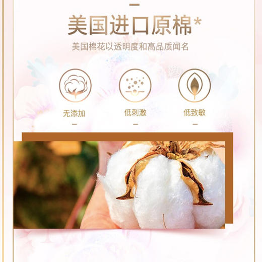 苏菲裸感S贵族棉极薄250日用卫生巾12片 商品图4