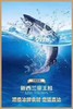 【周五到】挪威三文鱼 200克~来自北极纯净海域的顶级优质三文鱼，新鲜现切，肉质嫩滑，吃在嘴里还有股奶香味 商品缩略图4