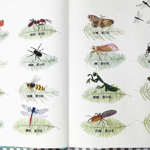 虫子好美味+果实好美味 3-6幼儿食物科普百科虫子好美味系列食物百科全书安徒生奖获奖插画师新作品 商品图3