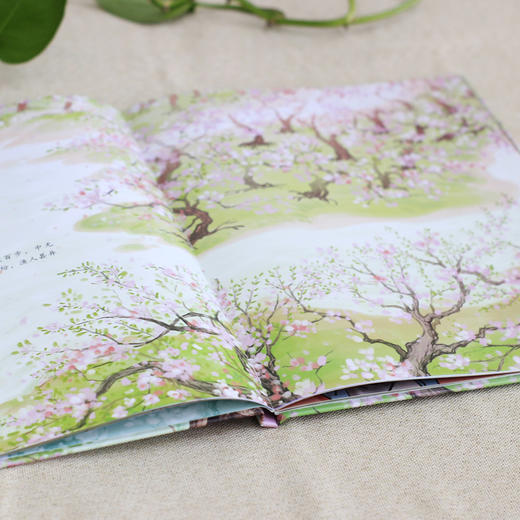 中国古典美文系列：桃花源记 商品图2