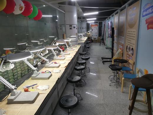 【河南自博-游馆】玩转博物馆之恐龙的奥秘我知道 商品图2