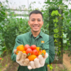 生态圣女果 | 绿家自产 * Ecological cherry tomato | Self-production 商品缩略图2