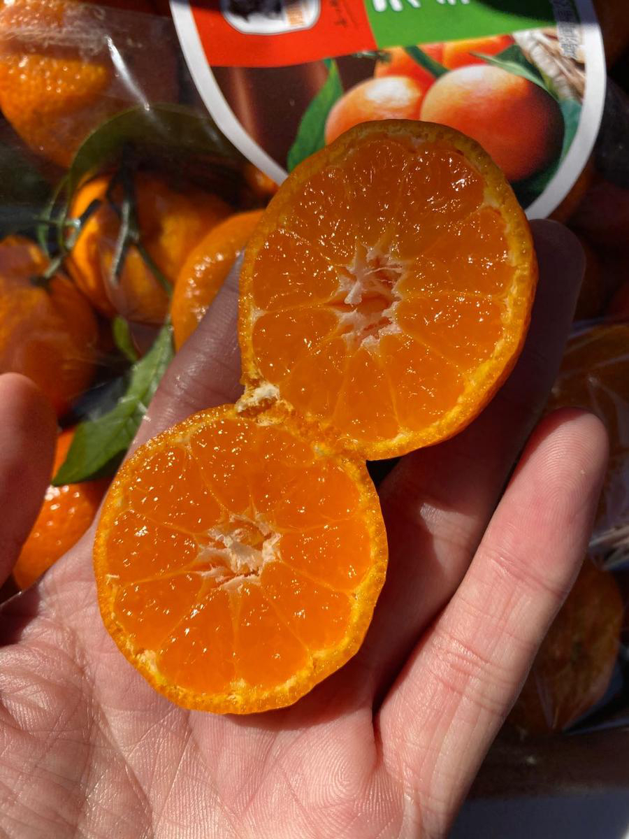 周三到货:【产地直销】新鲜芦蒿苔(毛菜),22.8元/5斤