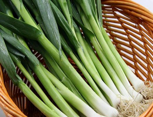 1031大蒜叶约250克 商品图0