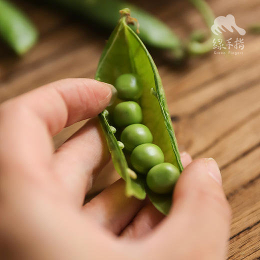 生态甜豌豆（带荚，吃豆米）| 合作生产 * Organic Sweet Pea  | Self-production 商品图2