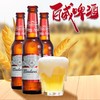 国产百威玻璃瓶  3.6%vol 275ml*24瓶 商品缩略图2
