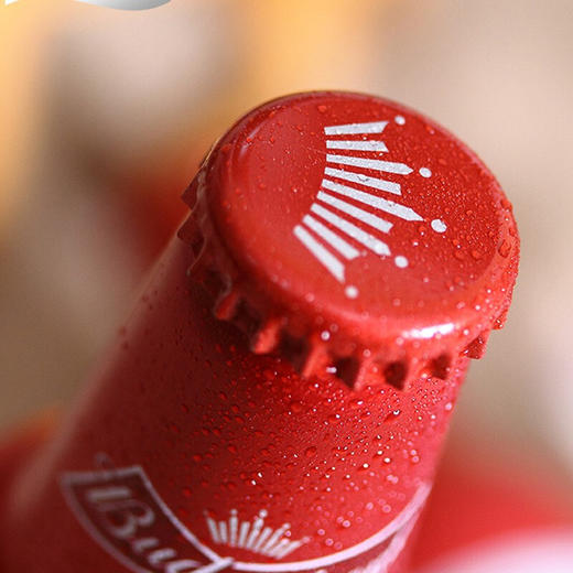 国产百威铝瓶啤酒   3.6%vol 355ml*24瓶 商品图1