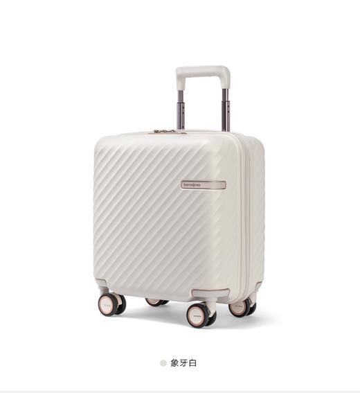 新秀丽宽拉杆箱TRUNK箱型PC材质机长箱 HJ1*003/004 商品图1