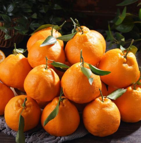 新鲜水果 甜润多汁耙耙柑小件   带箱10斤左右/件 商品图1