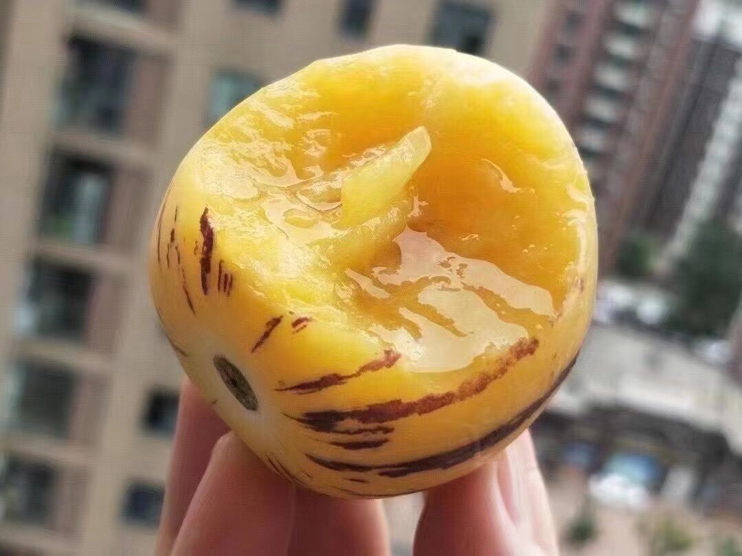 云南✈️人参果，低糖，爽甜爆汁！