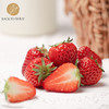 归来兮古法种植草莓 250g/份  仅限南京配送 商品缩略图1