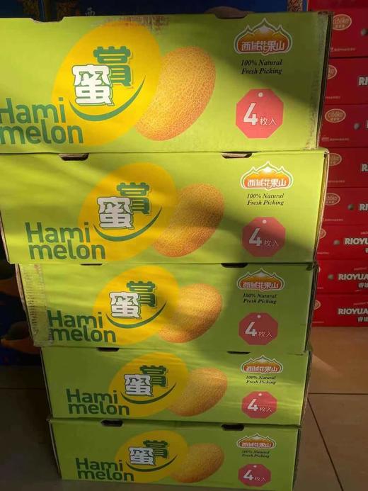海南哈密瓜 甜脆黄肉 商品图11