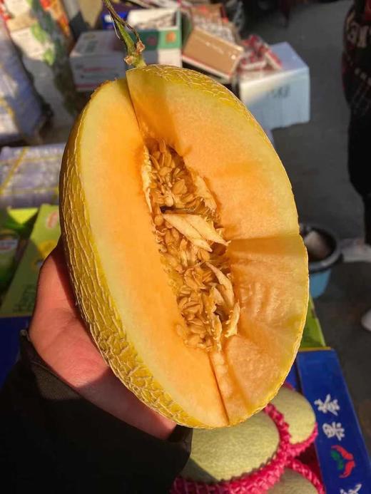 海南哈密瓜 甜脆黄肉 商品图10