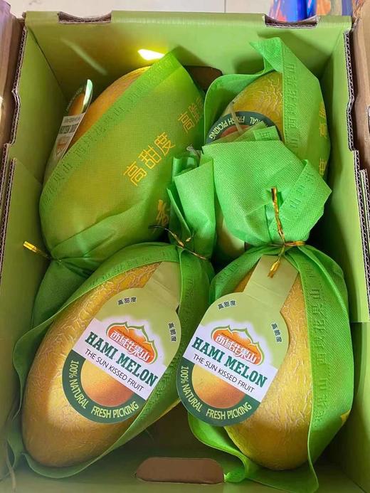 海南哈密瓜 甜脆黄肉 商品图12