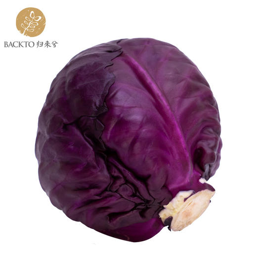 有机紫甘蓝 400g/份   全国配送（偏远地区除外） 商品图1