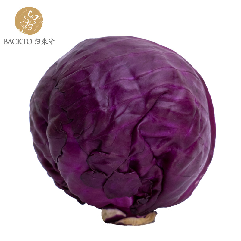 有机紫甘蓝 400g/份   全国配送（偏远地区除外）