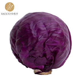 有机紫甘蓝 400g/份   全国配送（偏远地区除外）