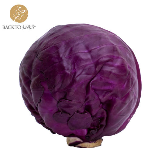 有机紫甘蓝 400g/份   全国配送（偏远地区除外） 商品图0