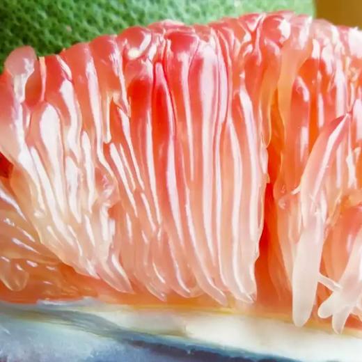 泰国双象牌DD红心柚 柚子 商品图5