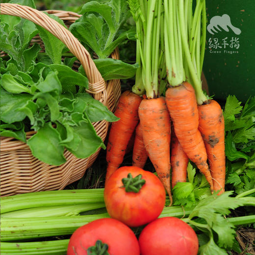 生态沙拉蔬菜箱（非净菜，过年也发货） | 绿家自产* Organic salad vegetable box | Self-production 商品图3