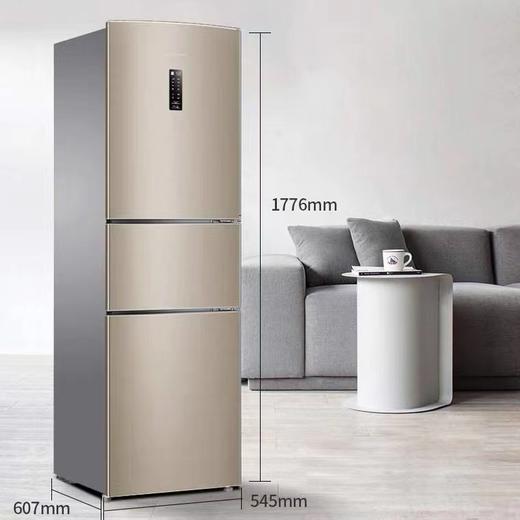 容声221升风冷无霜节能小型三开门冰箱【LY】 商品图2