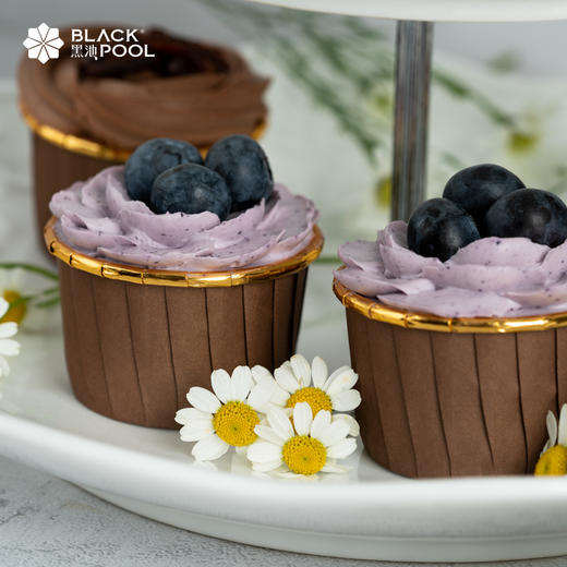 （配送到家）轻蛋糕cupcake | 9个装 商品图6