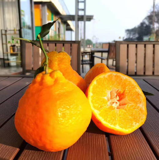 有机春见（粑粑柑） 5斤装/8斤装 商品图2