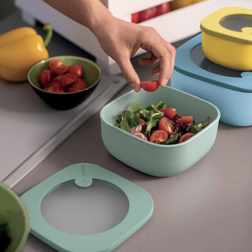 【意大利进口密封保鲜盒微波炉可用】炫彩饭盒储物盒 保鲜时间长方便携带 商品图0