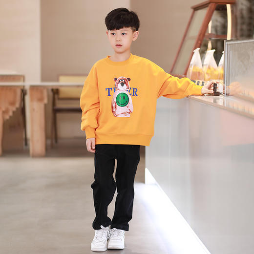 龙之涵春秋卫衣卫裤合集 全棉中大童时尚洋气爆款热卖 商品图13