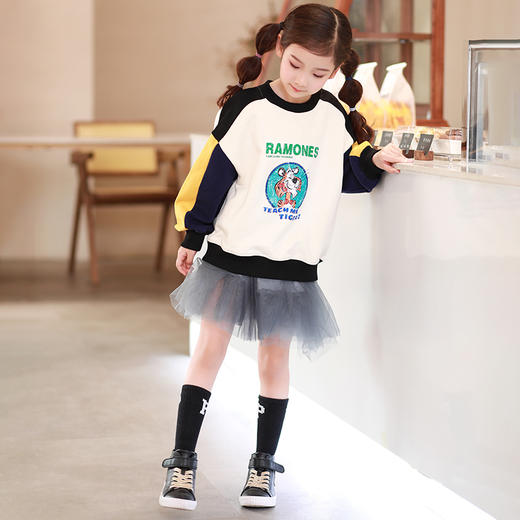 龙之涵春秋卫衣卫裤合集 全棉中大童时尚洋气爆款热卖 商品图12