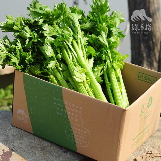 生态西芹（芹菜） | 绿家自产*Eco-celery | In-House Production 商品图2