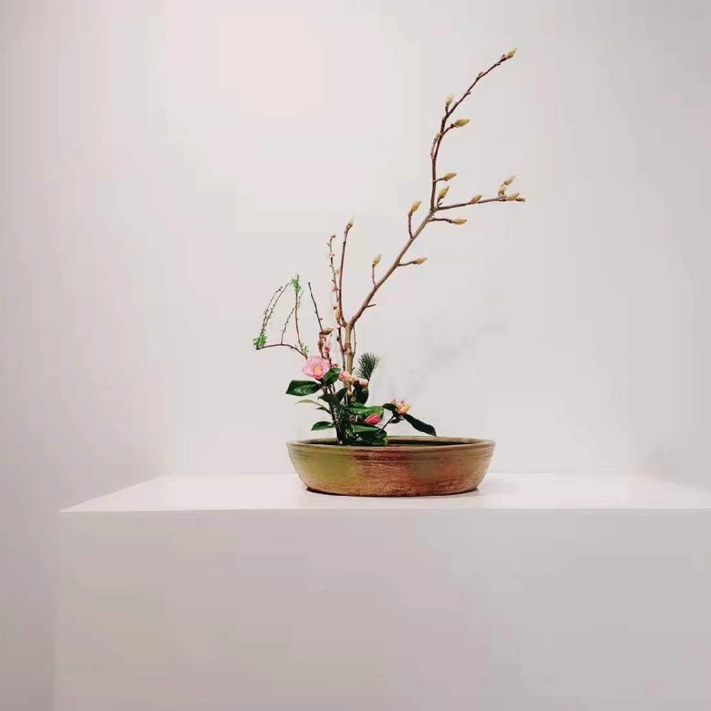 吃得健康的吃货聚集地